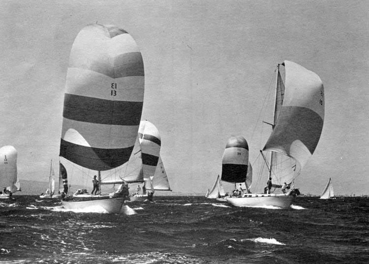 sailboats with chutes racing to us